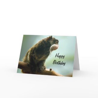 Tamarin Monkey Birthday Card card