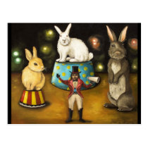 Taming Of The Giant Bunnies postcards