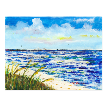 Tampa Bay Florida Beach Sunshine Skyway Bridge Postcards