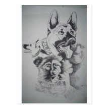 Tampa Canine Sketch by John Hart Postcards