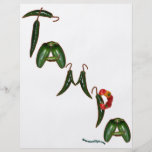 Tampa Chili Peppers Full Color Flyer