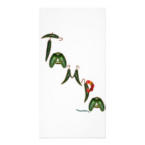 Tampa Chili Peppers photo cards by chili_state Tampa Chili Peppers photo cards