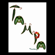 Tampa Chili Peppers postcards