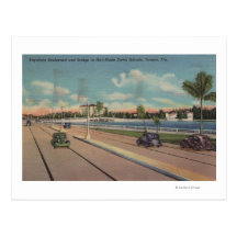 Tampa, FL - View of Bayshore Blvd, Bridge Post Cards