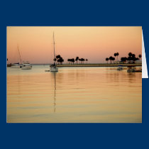 Tampa, Florida cards