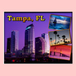 Tampa, Florida - the sunshine state postcards
