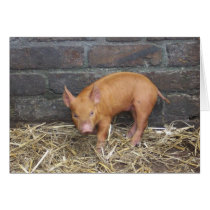 Tamworth cards