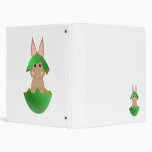 Tan Bunny In A Green Christmas Ornament Binders