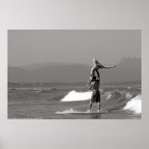 Tandem Surfing couple Poster