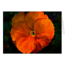Tangerine cards by sukimerk Tangerine cards