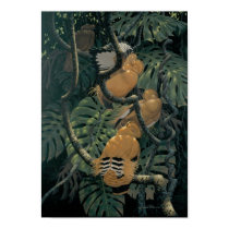 Tangerine Dancers posters by carpenterjim Tangerine Dancers posters