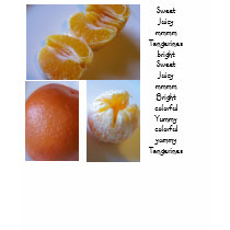 tangerine fruity shirt