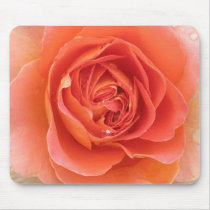 Tangerine Rose mousepads by ggbythebay Tangerine Rose mousepads