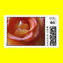 Tangerine Rose - Postage stamps
