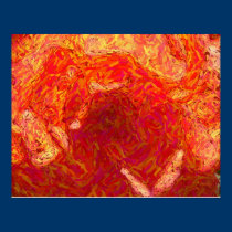 Tangerine Rose posters