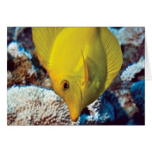 TangEssence Note Card