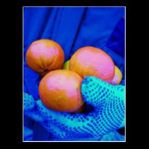 Tangible Gift Postcard postcards