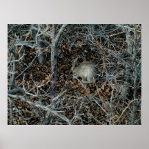 Tangle Wood ~Print~