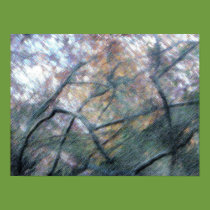 Tangled Branches posters