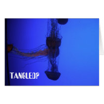 TANGLED? cards by tauheedah TANGLED? cards
