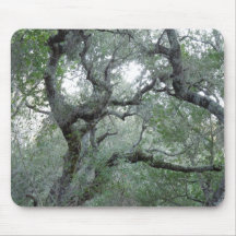Tangled Oak Trees in Paso Robles, California Mouse Pads