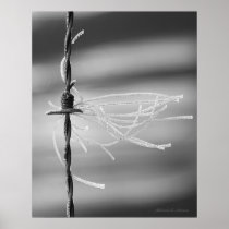 Tangled Threads - Barb Wire Still Life Photograph Poster