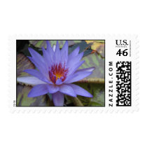 Tanglewood Blue stamps