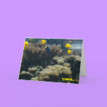 TANGS... - notecards