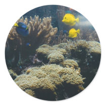 Tangs - sticker