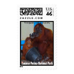 Tanjung Puting National Park Orangutans stamps