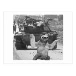 tank and sloth postcards