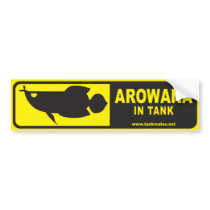 Tank Mates bumper sticker series 1-Arowana bumper stickers