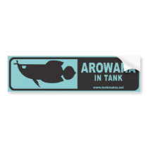 Tank Mates bumper sticker series 1-Arowana B bumper stickers