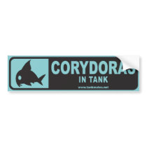 Tank Mates bumper sticker series 1-Corydoras Blue bumper stickers
