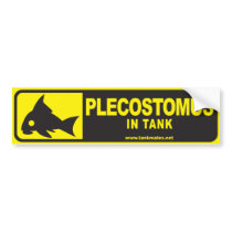 Tank Mates bumper sticker series 1-Plecostomus bumper stickers by TankMates Tank Mates bumper sticker series 1-Plecostomus bumper stickers