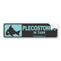 Tank Mates bumper sticker series 1-Plecostomus B bumper stickers