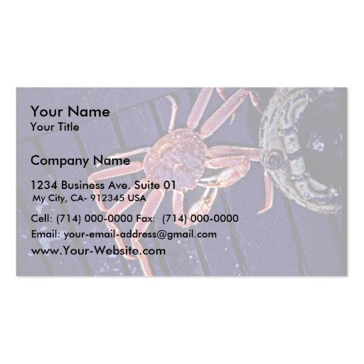Tanner Crab Business Card (front side)