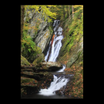 Tannery Falls Savoy Mountain State Forest posters