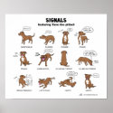 TANO Signals posters