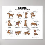 TANO Signals Print