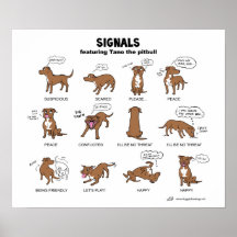 TANO Signals Print