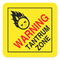 Tanrum Zone Square Stickers