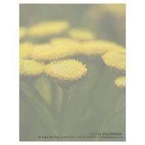 Tansy letterhead
