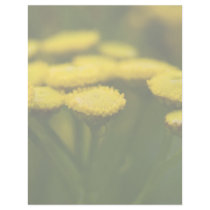 Tansy letterhead