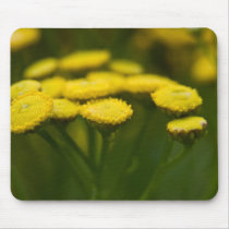 Tansy mousepads