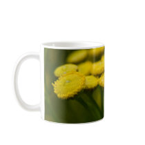 Tansy | Rainfarn mugs by HortusFloridus Tansy | Rainfarn mugs
