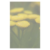 Tansy stationery