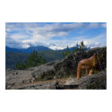 Tantalus Mountain Range posters by f1daniel Tantalus Mountain Range posters