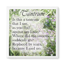 Tantrum, Poem magnets