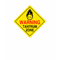 Tantrum Zone Shirt